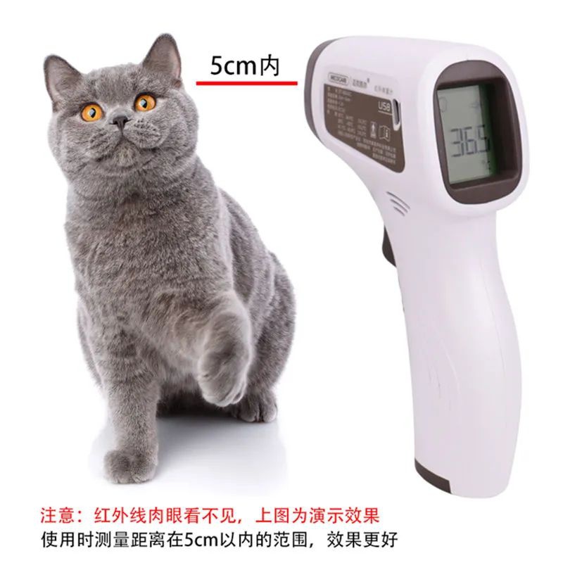 体温計 獣医用機器 電子体温計 非接触式 ペット 犬 赤外線 - Instant Read Thermometer のレビューと価格